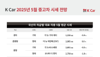 K Car, 타스만·무쏘EV 출시 소식에 중고 픽업트럭 시세 하락 전망