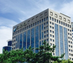 금감원 